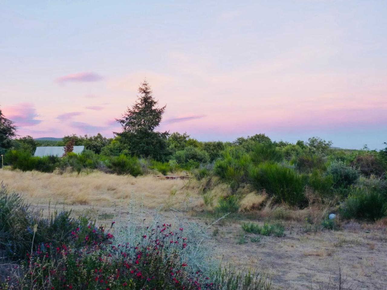 Domaine De La Vitarelle Glamping Villaniere Exteriér fotografie